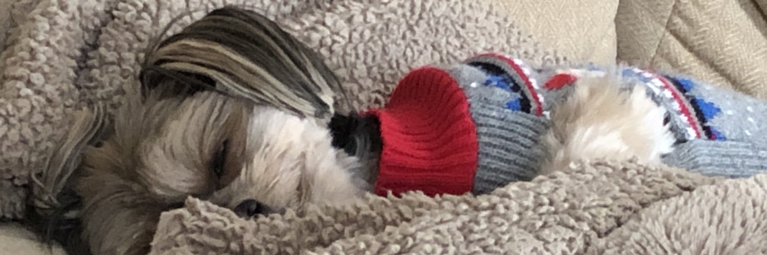 ericsnyder10's profile banner image