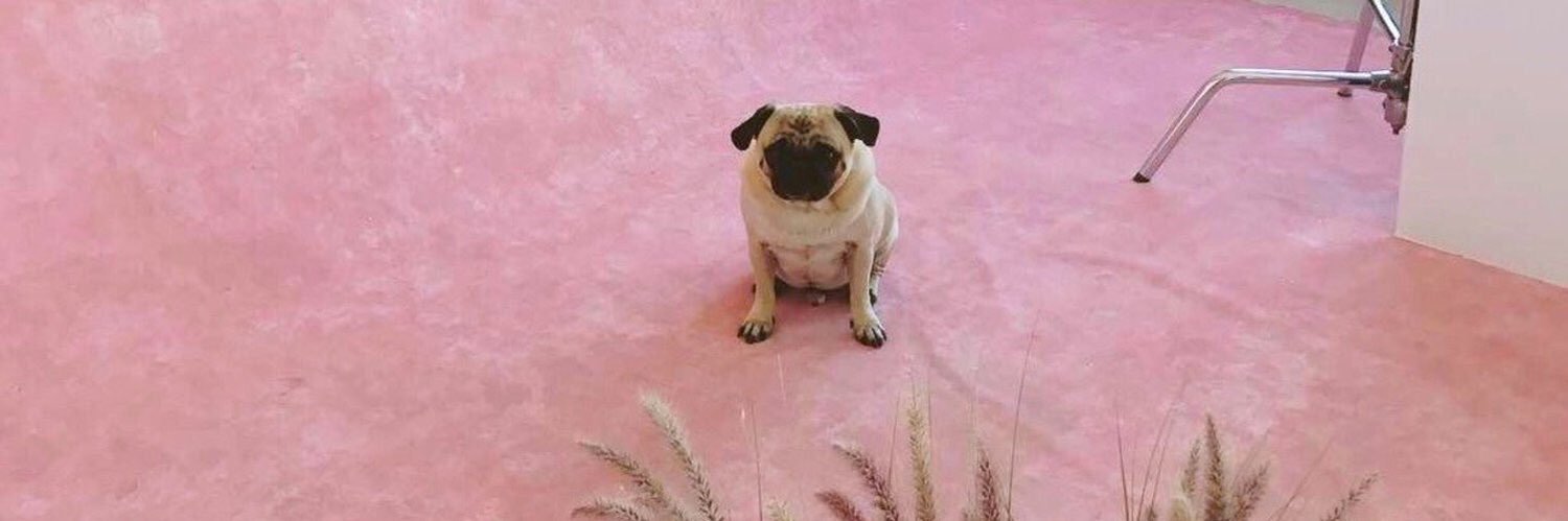 Bego Martínez banner