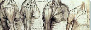 AnatomyCafd's profile banner image