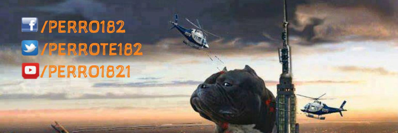 PERROTE182's profile banner image