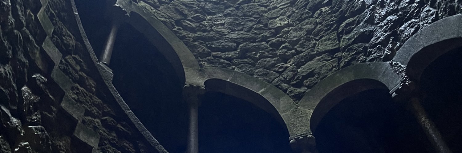 Guipeedroni's profile banner image
