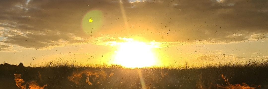 bartyboy77's profile banner image
