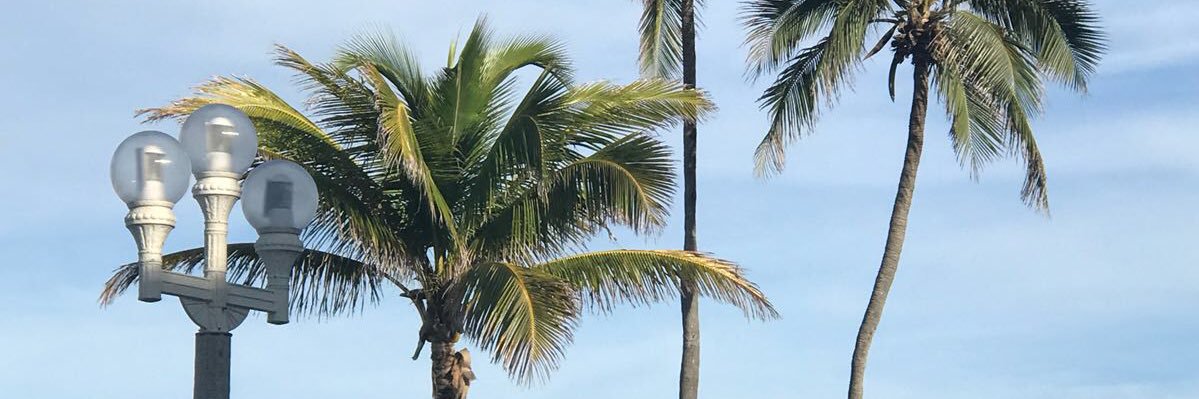 whatelse007's profile banner image