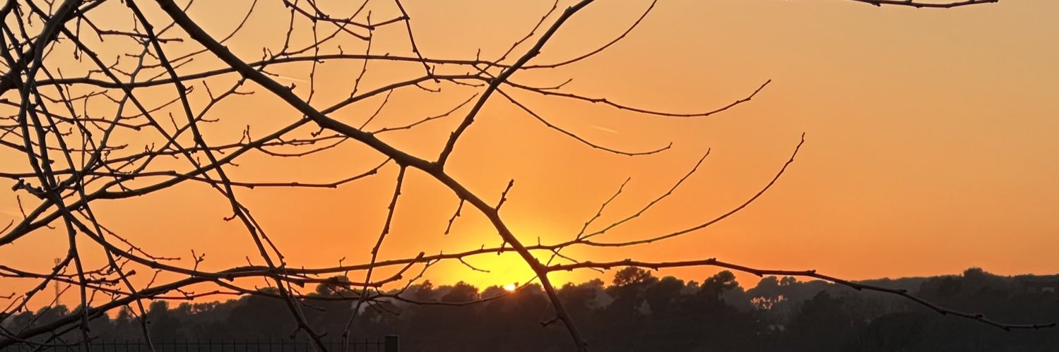 LibisElena's profile banner image