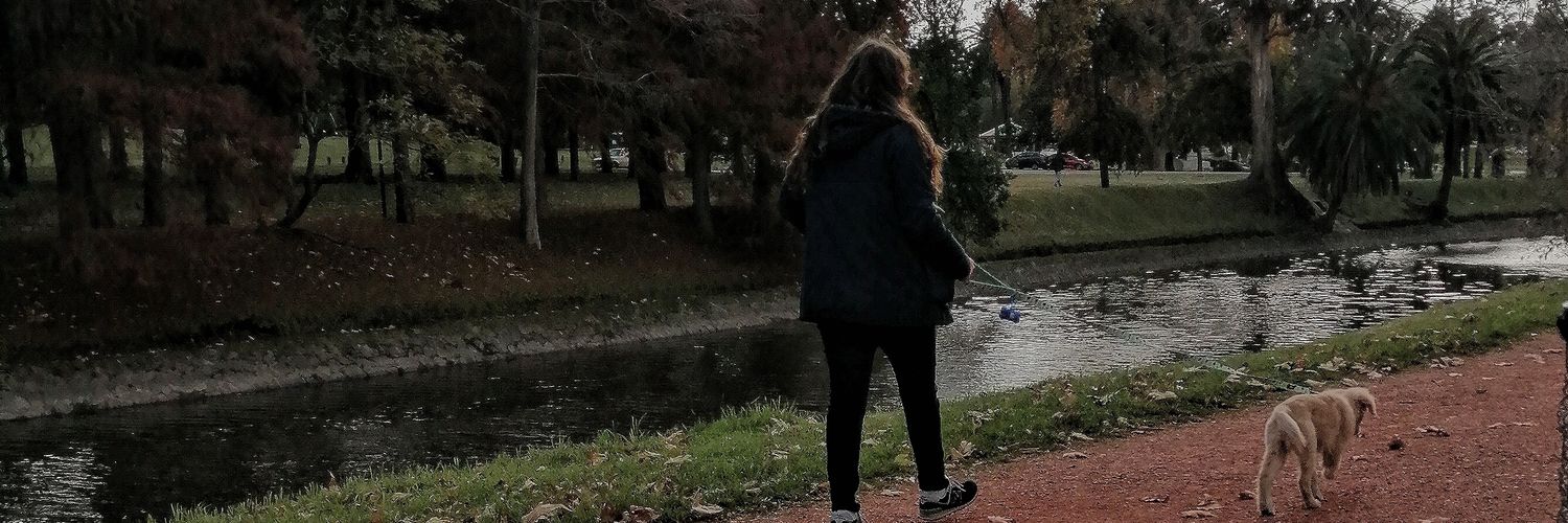 CaaroCabral's profile banner image