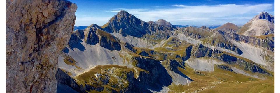 margotska's profile banner image