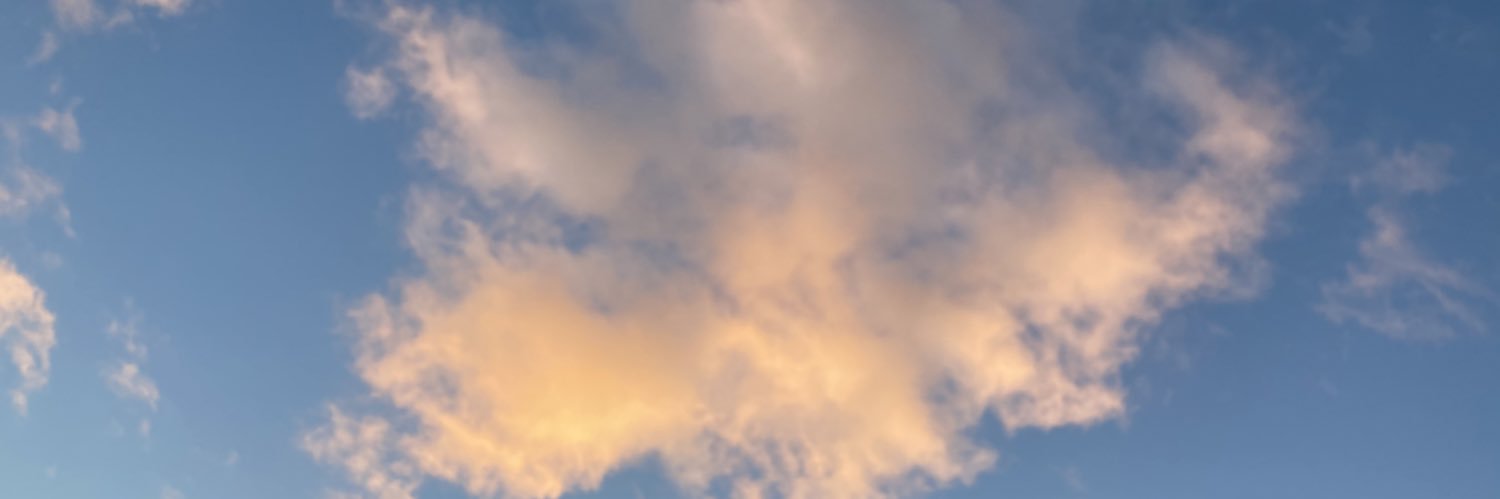 fayemorgss's profile banner image