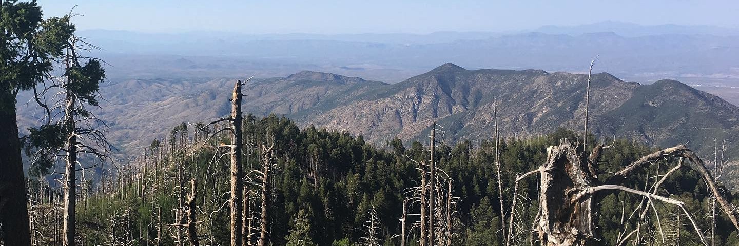 Dr. Lucille Le Corre banner