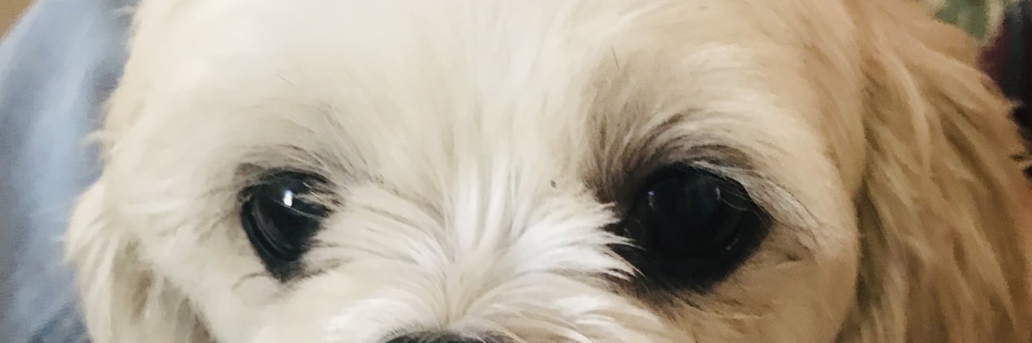 Sonia_PAC's profile banner image