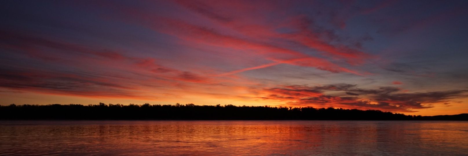 OneRoyer's profile banner image