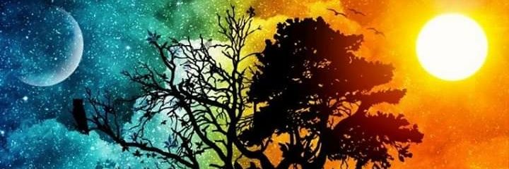 Ashley_Hex's profile banner image