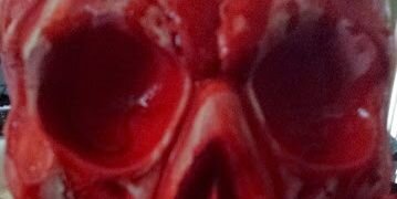 cerridwenbard's profile banner image