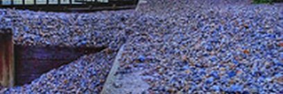 klstigers1's profile banner image
