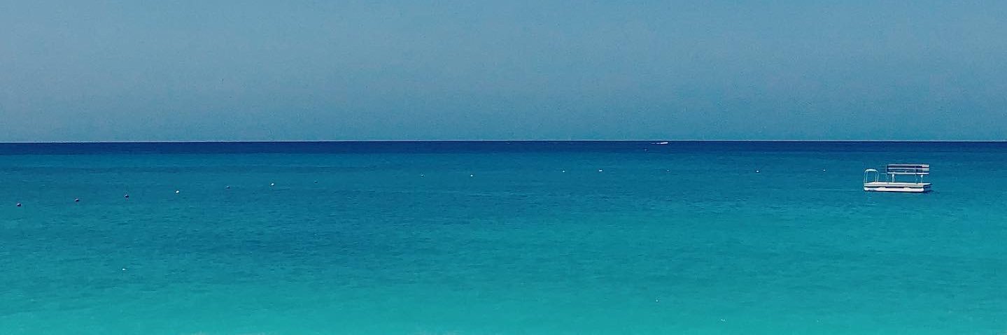 Priv_Phoebe's profile banner image