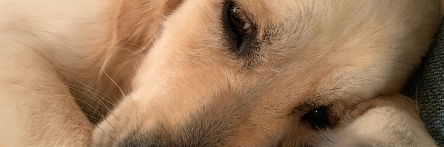 Annerz2's profile banner image
