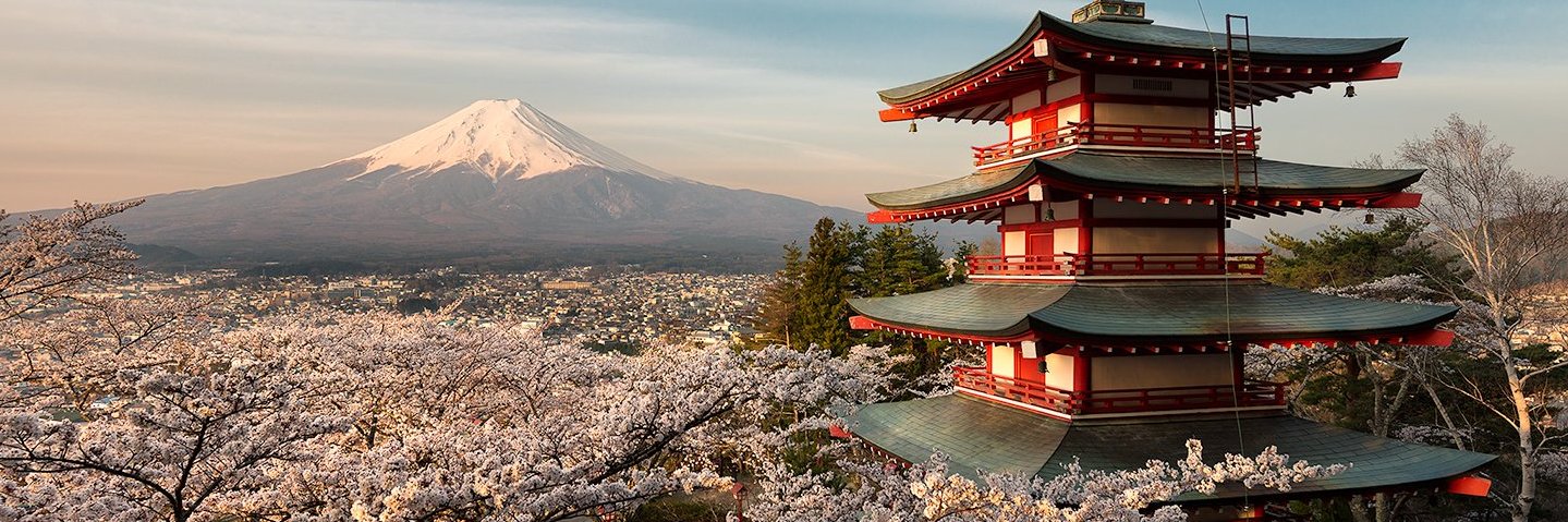 Elizabeth vyn banner