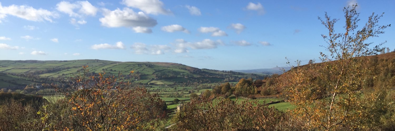 michelle davenport banner