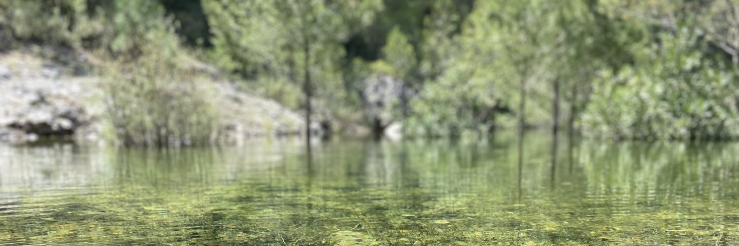 Isabel López Palau banner