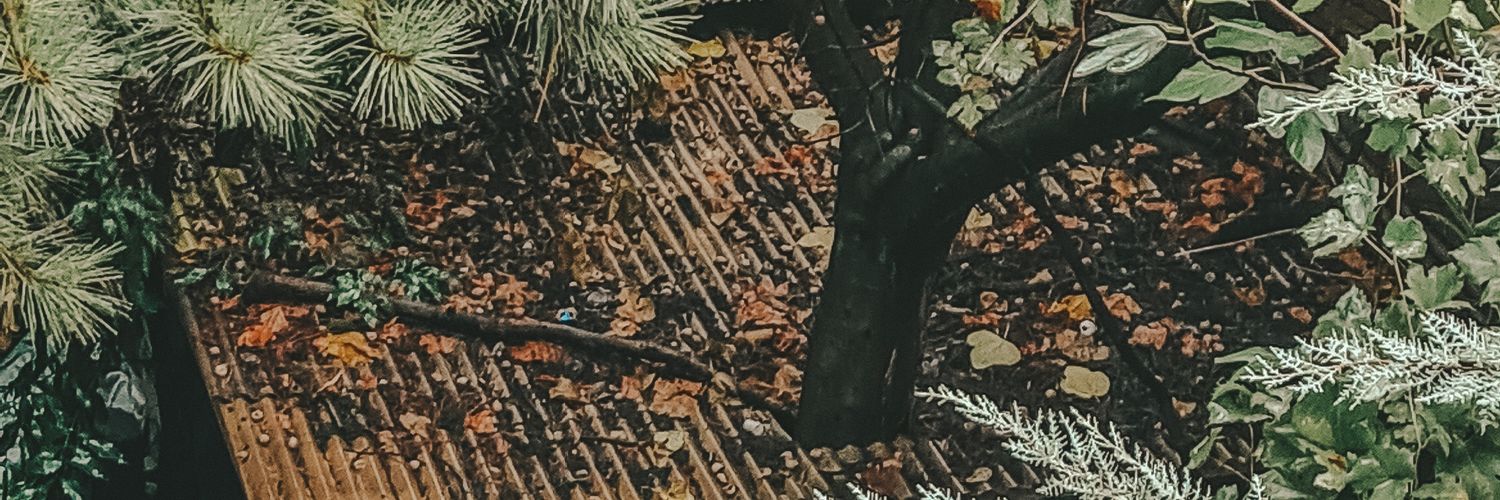 MZA_1997's profile banner image