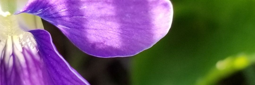 KendraGoodHouse's profile banner image