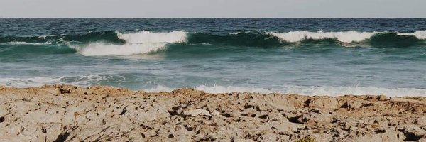 cdoncel10 Profile Banner