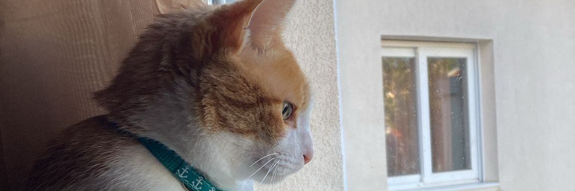 esdalianys's profile banner image