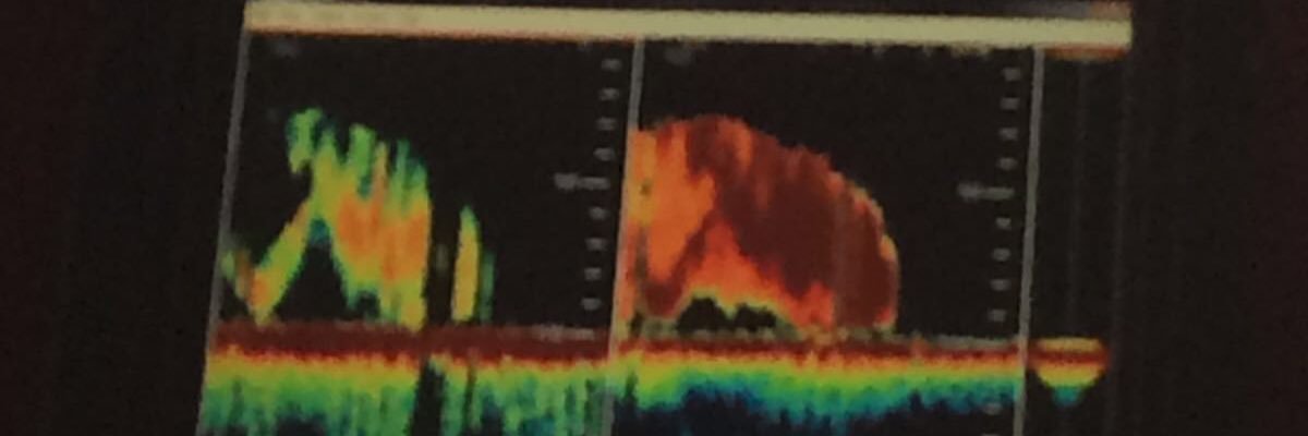Lidsy419's profile banner image