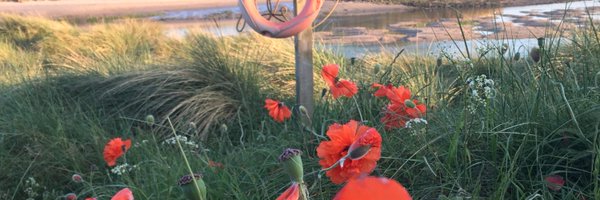 C_Newts Profile Banner