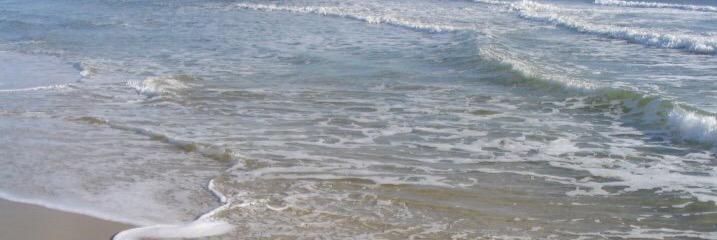 NicoleRouh's profile banner image