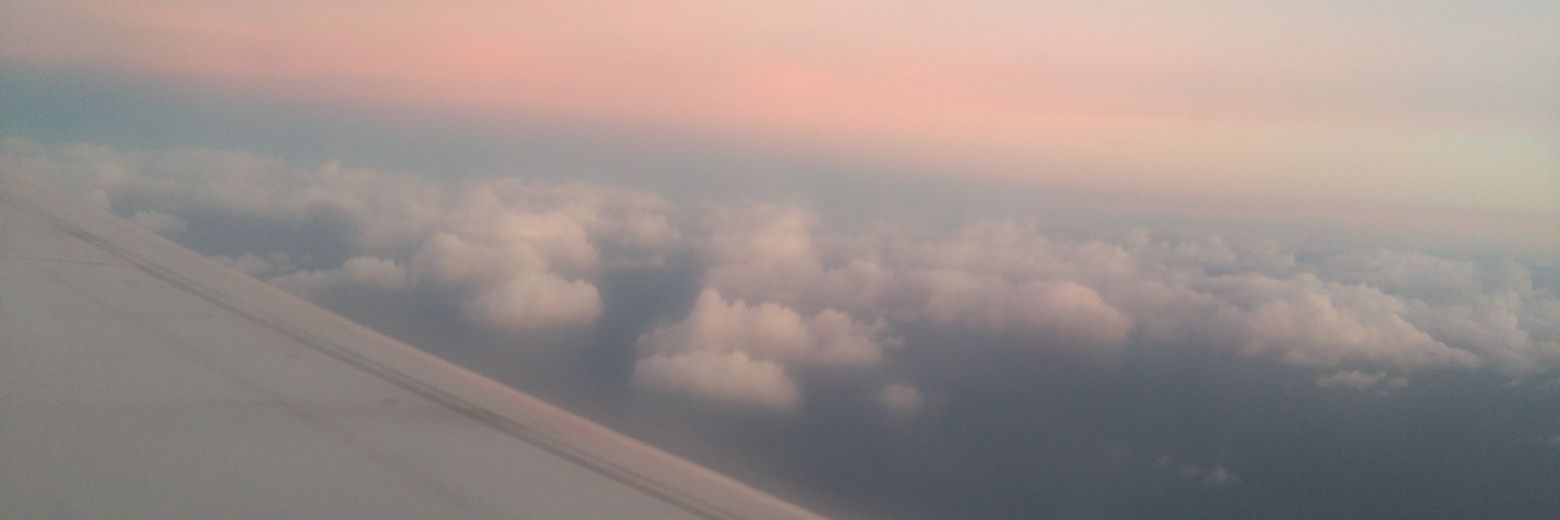 raquelrubbio's profile banner image