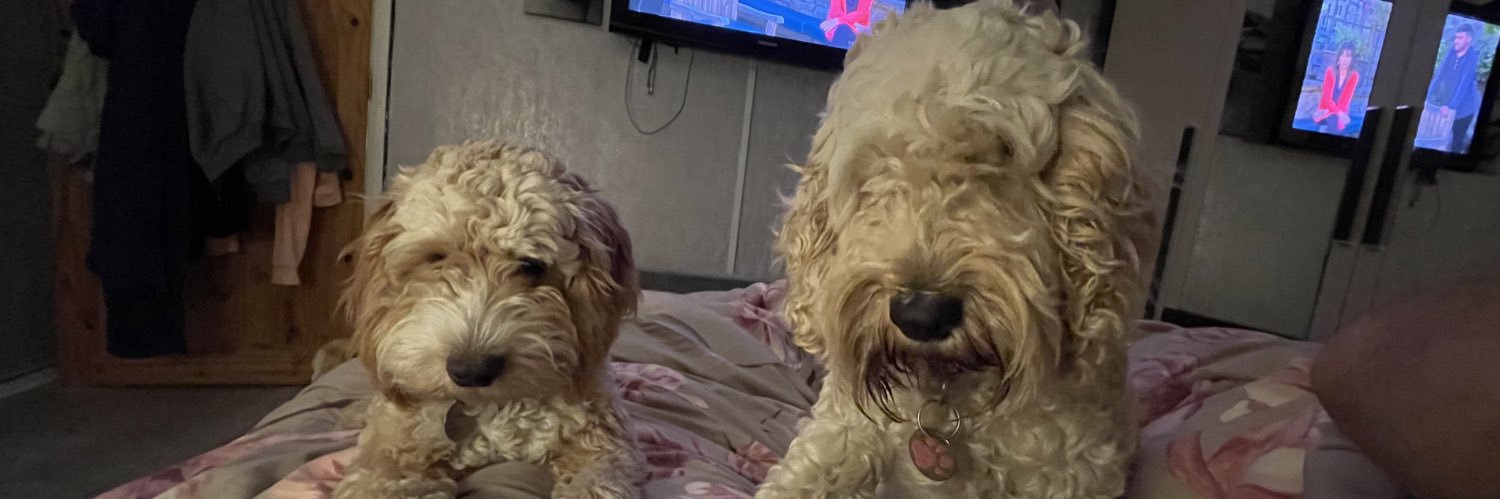 Milo and Poppy banner