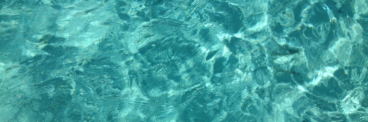 SLStambouli's profile banner image