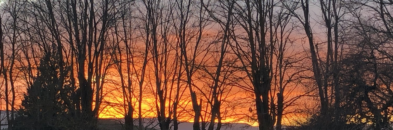 Gustavo Moral banner