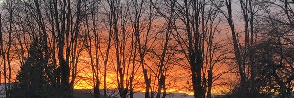 moralgustavo Profile Banner