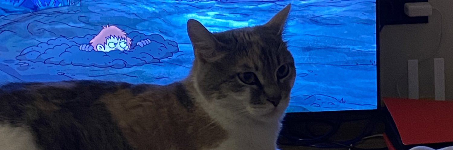 onotroley's profile banner image