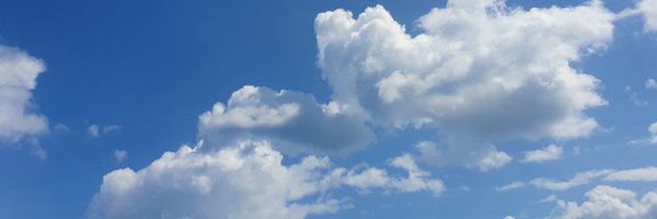 nellienoonoo1 Profile Banner