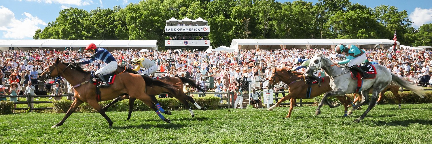 TNSteeplechase's profile banner image