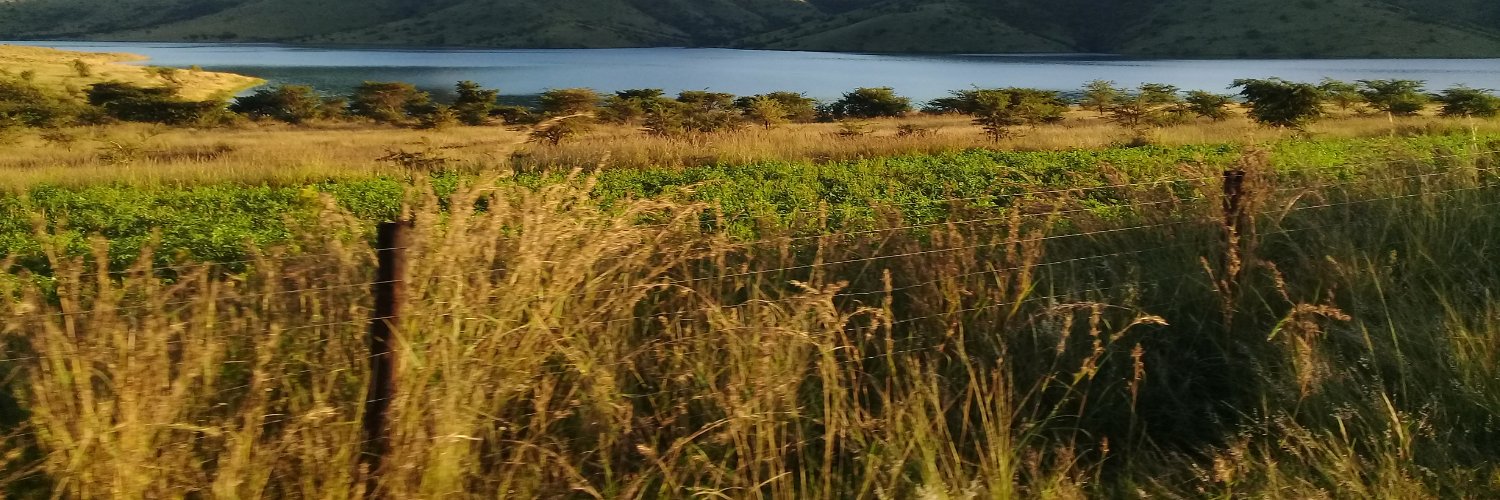 mpilogumbi's profile banner image