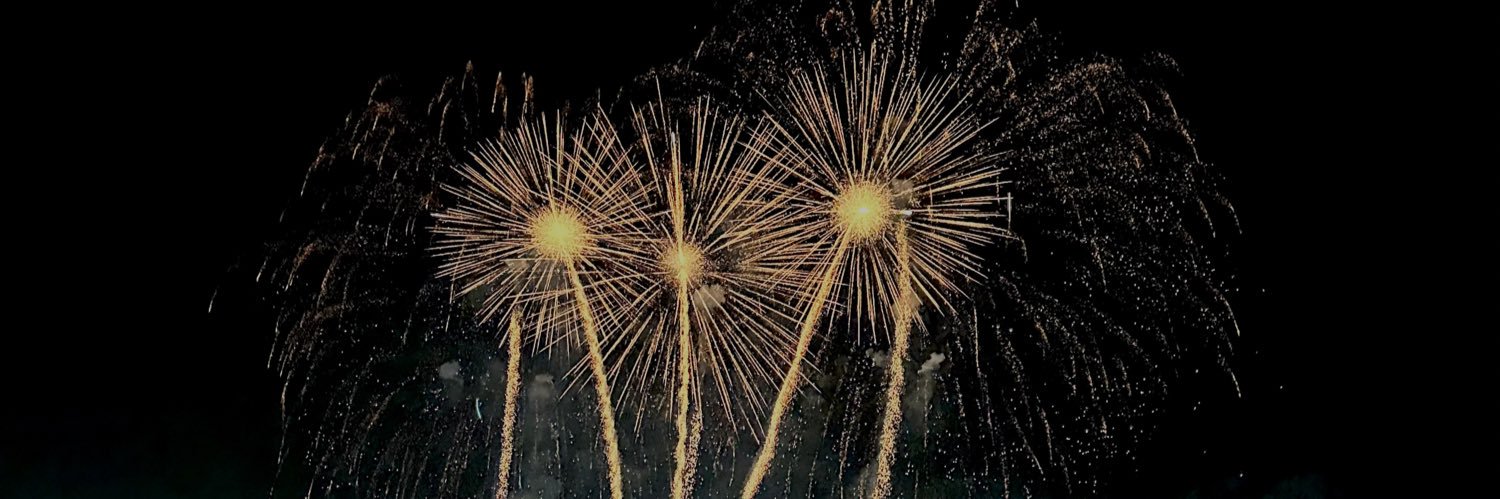 Daniel Ferrer banner