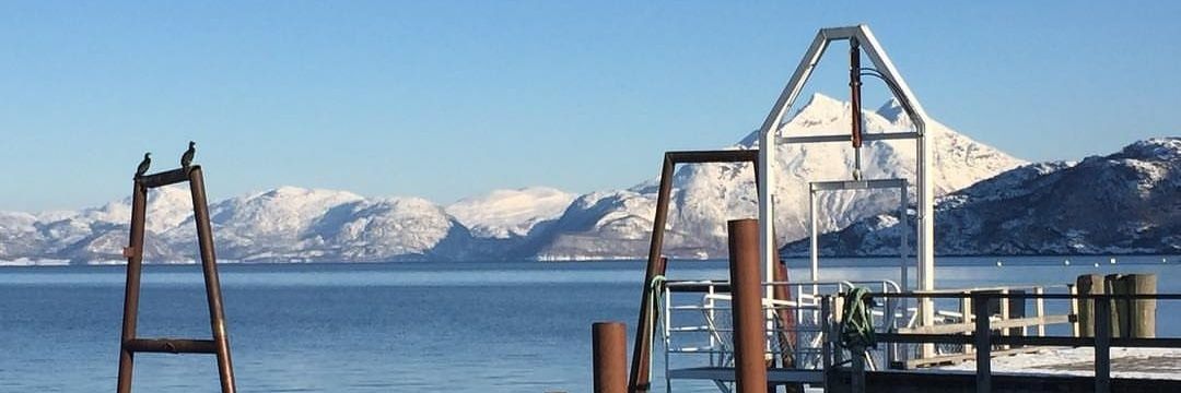 Manuela Gheoldus banner