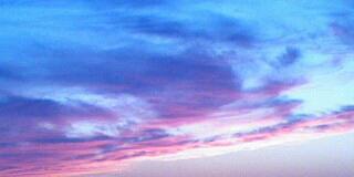 Vi_Hardwick's profile banner image