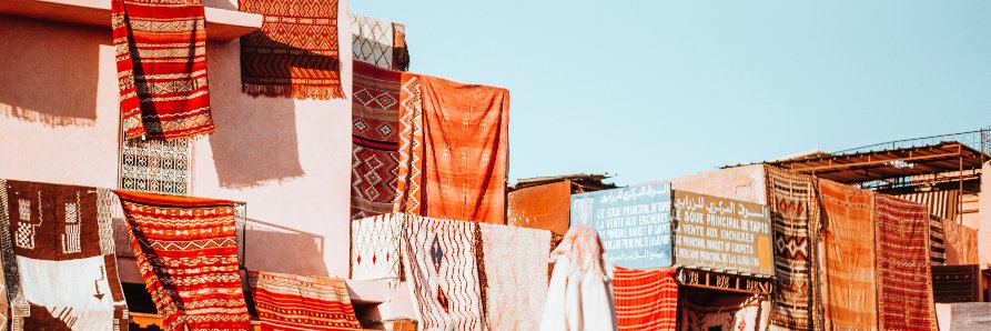 Alexis Madison banner