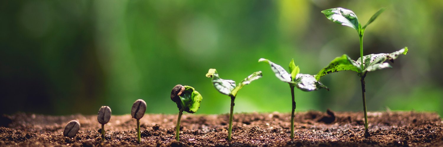 InvestorBlain's profile banner image
