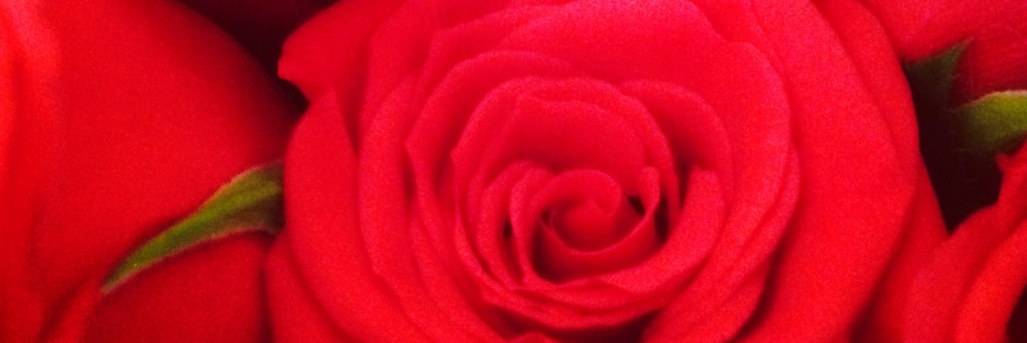 Helen Ross banner