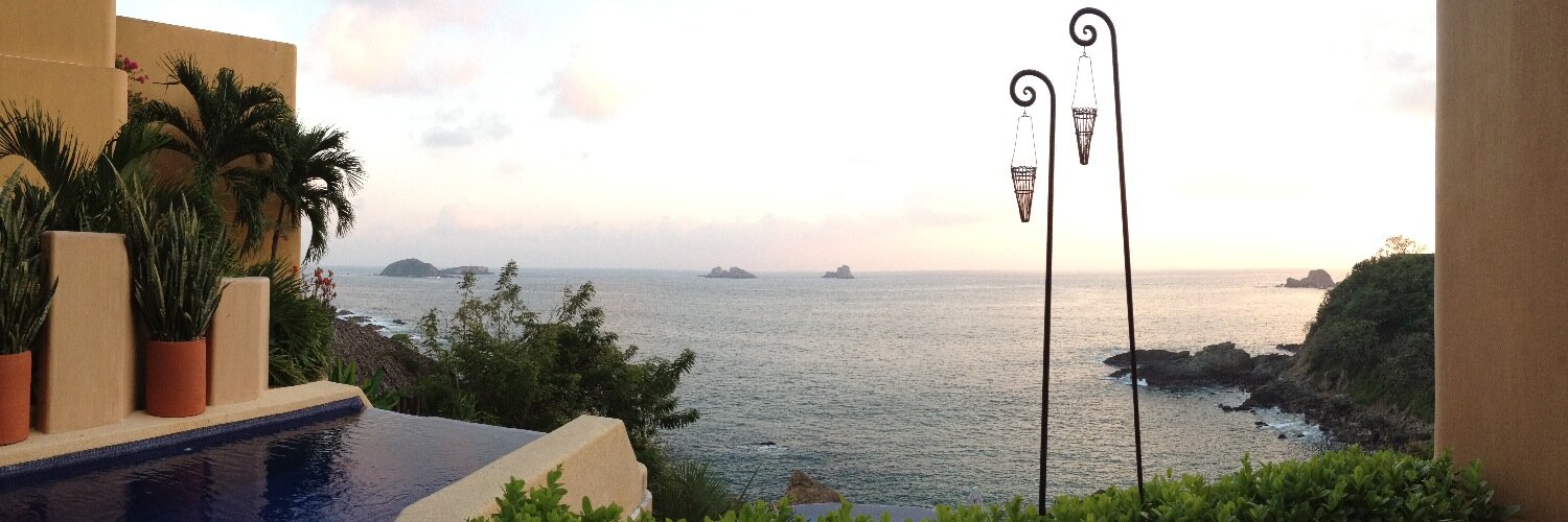 Renee Cutaia Olson banner