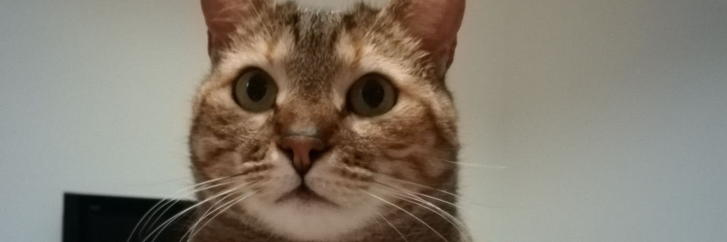 stebarana's profile banner image