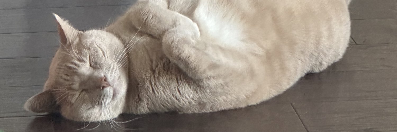 emilyduve's profile banner image