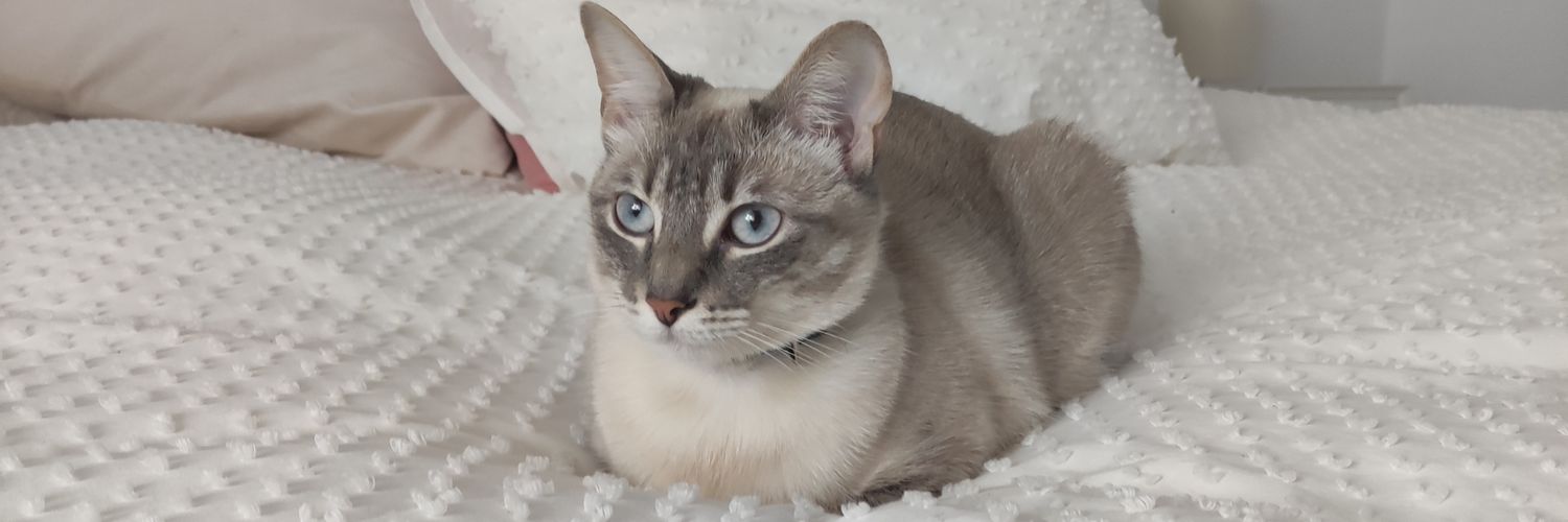 mariadeeeel's profile banner image