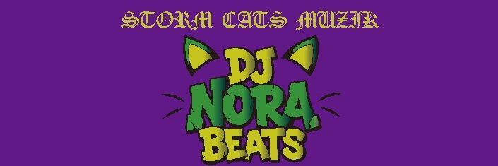 Noranekobeets's profile banner image