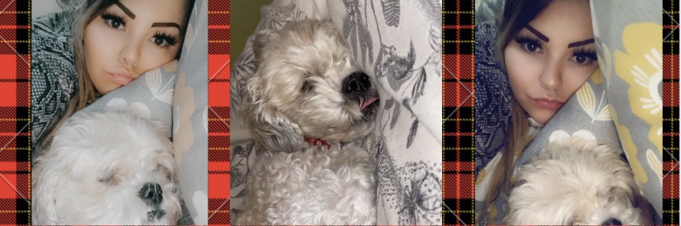StevieChanel's profile banner image